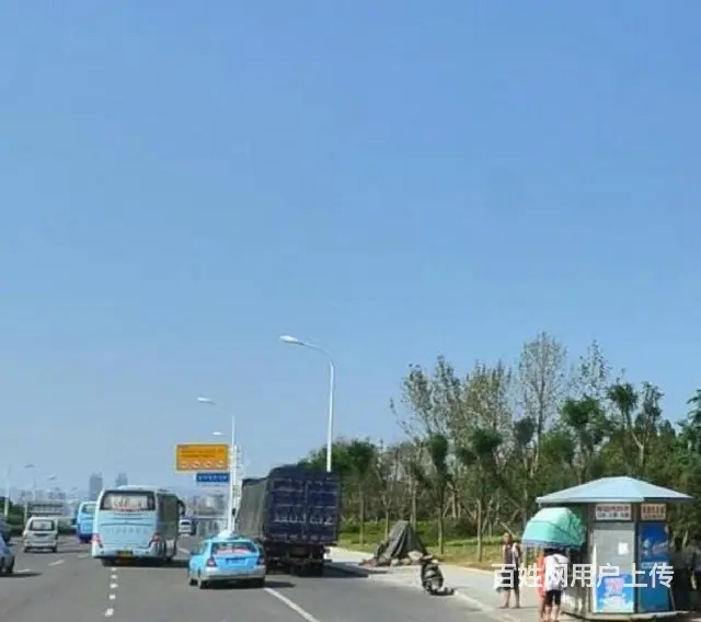 威海南海 十里长滩风情海岸亲海不近海 万亩黑松林 - 图片 1