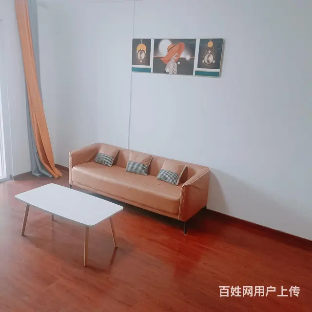 花溪畔区房屋出租  主卧出租 - 图片 4