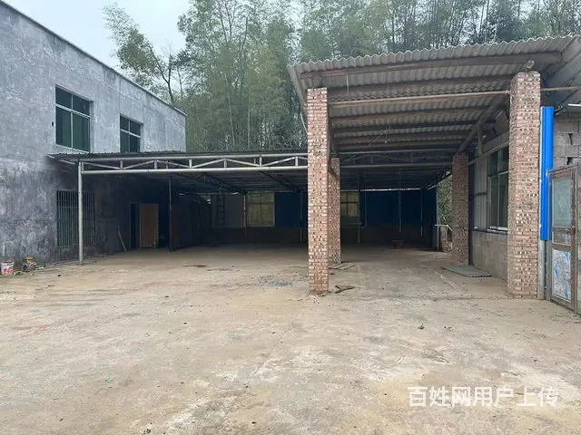 （老板本人）岳麓区含浦整栋房屋出租，独院场地出租  6050 - 图片 5