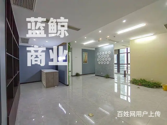 绿地商务城蓝海230平领包办公 - 图片 4