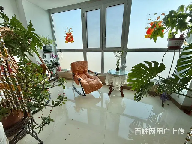 龙源湖公园 观景房 建业森林半岛 16楼 一梯一户 - 图片 11