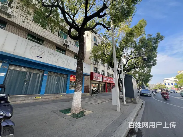 城站路主干道中百仓储斜对面198平米 - 图片 3