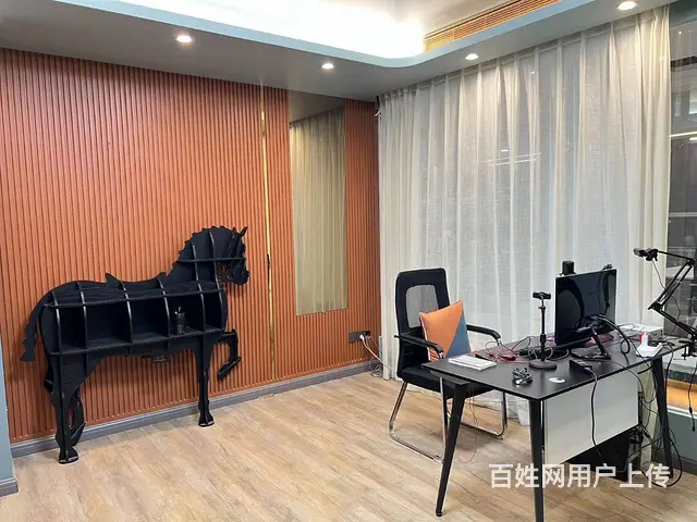 铁西丨唐轩公馆丨460平精装丨20万丨有上水丨纯写丨精装 - 图片 5