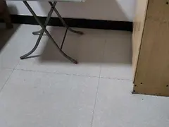 文天祥纪念馆附近有房子出租