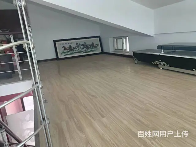 南昌路  洛浦春晓  精装大两室 双气带阁楼 - 图片 5