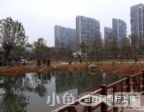 同安BRT枢纽站、同安乐海城市广场旁  单身公寓 - 图片 3