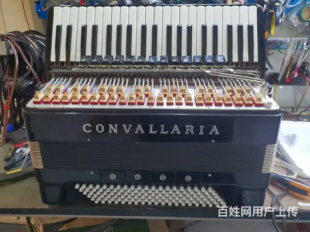 广州Bugari手风琴维修服务站，巴扬手风琴维修 - 图片 3