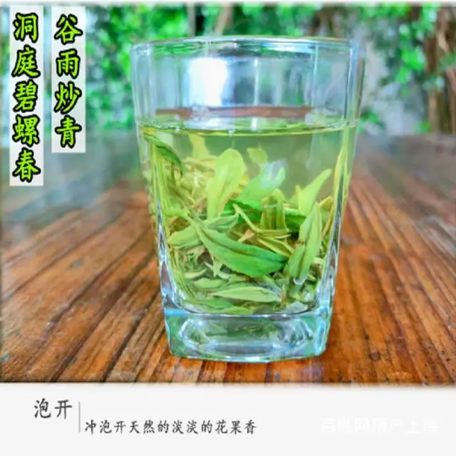 谷雨炒青 . 苏州东山碧螺春茶叶正宗洞庭碧螺春明后 - 图片 4