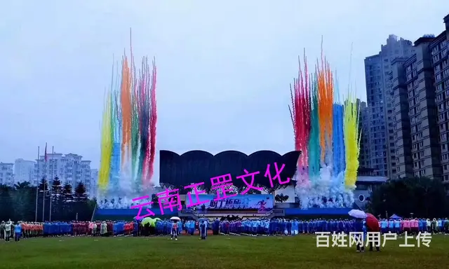 活动策划、设计制作、舞美搭建、灯光音响、演出表演 - 图片 3