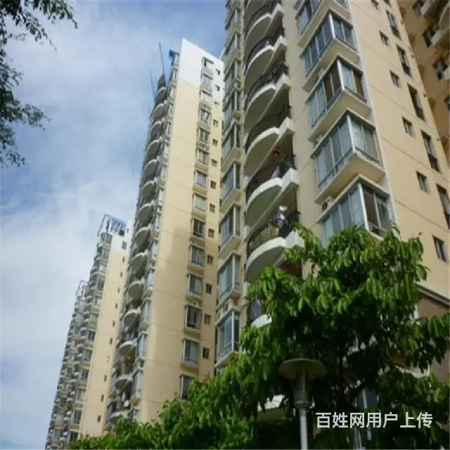 海垦路商圈     三叶名豪4房 - 图片 12