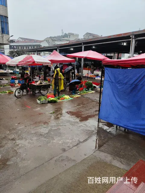 经营中雪糕店转让 - 图片 3