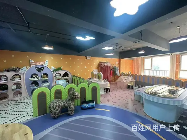 (旺铺猫)：邹城室内淘气堡儿童游乐园转让(可空转) - 图片 4