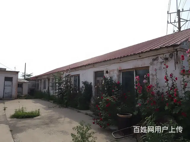出租太和区115厂附近厂房 - 图片 5