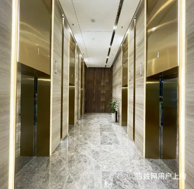 会展宝龙一城观音山地铁软件园 明丰财富中心 豪装带家具多套 - 图片 10