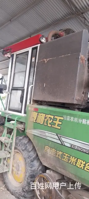 2019年的泰利农王玉米收割机 - 图片 3