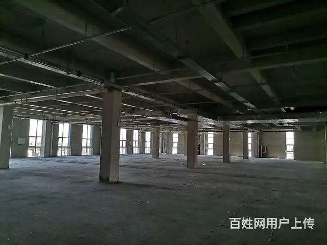出租滨城区标准化厂房1500㎡ - 图片 3
