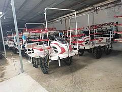 全新车 21下半年的洋马    22款