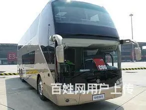 安顺宠物托运（猫狗）活体宠物邮寄快递（2022宠物运输） - 图片 2