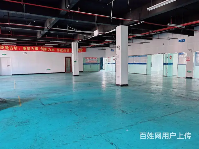 (老板本人）星沙标准园区精装修厂房办公楼出租  5572 - 图片 3