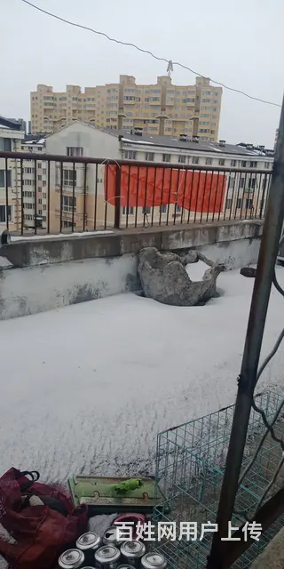 7楼带小院，光线非常好 - 图片 4