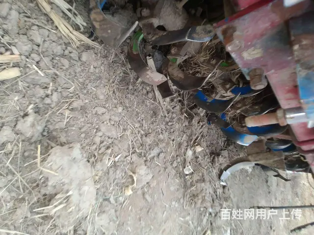 价格可议 - 图片 5