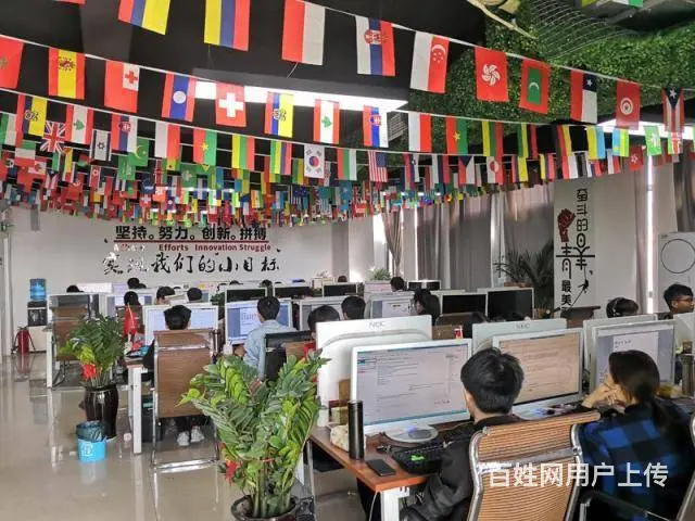 拼多多无货源店群创业加盟，店群软件代理贴牌运营教学 - 图片 2