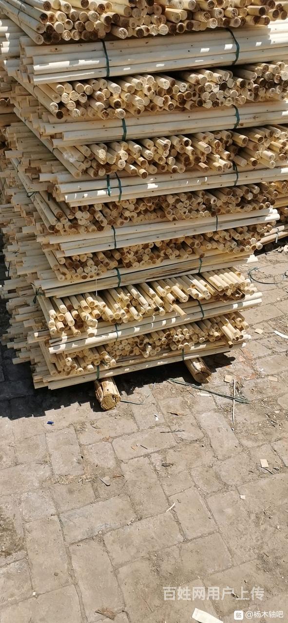 唐山杉杉杆,绿化支撑杆,高压防护杉木杆