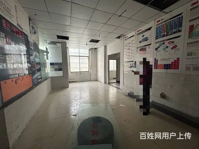 （51旺铺推荐）金垦路980平两间店铺可整租可分租 - 图片 10