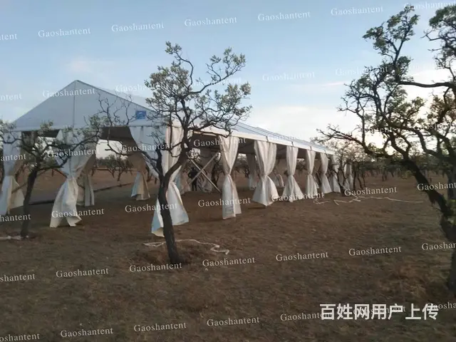 全国室外活动庆典大棚 铝合金篷房厂家 提供安装服务 - 图片 10