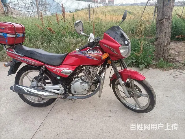 铃木钻豹 - 图片 2