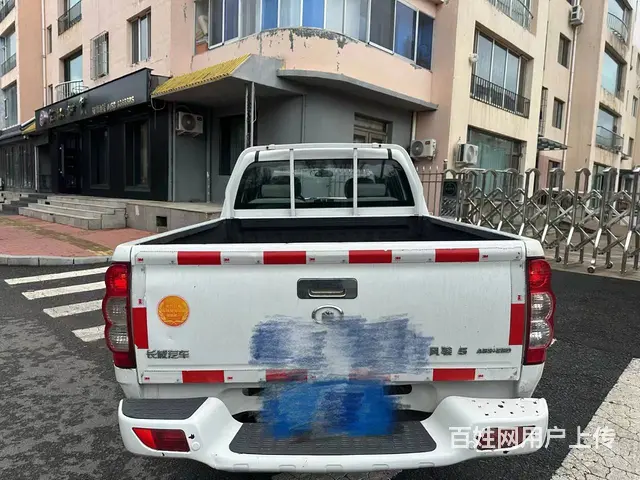 其他 皮卡 国4 - 图片 2