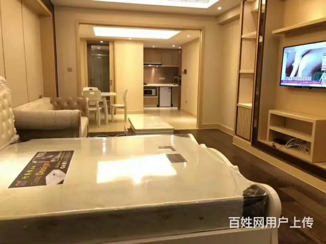 同方国际欧式1房朝南 新塘路闸弄口 绿地华家池 景芳物产国际 - 图片 2
