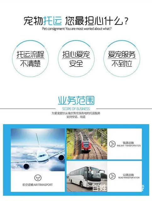 常州到北京宠物托运 全国狗猫鸽子空运 代办证件 - 图片 4