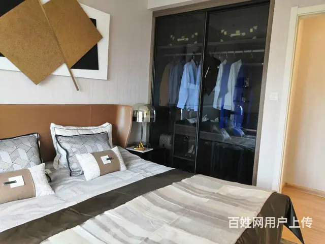 首付十几万买三室临湖花园洋房，南北通透三开间朝南采光好 - 图片 4