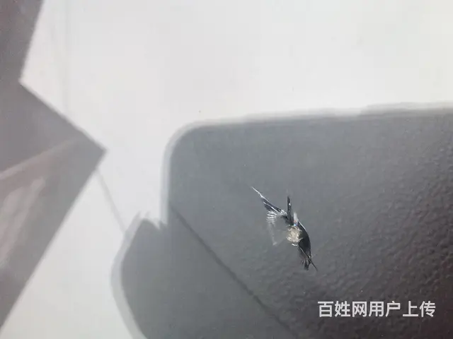 彭州有专业修补汽车挡风玻璃的地方  十多年经验 - 图片 7