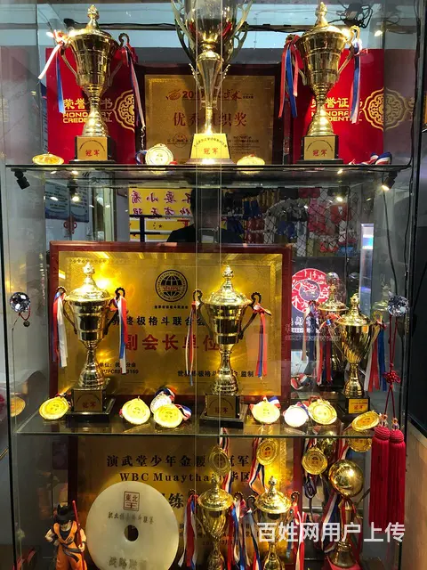 自由搏击散打武术 - 图片 7