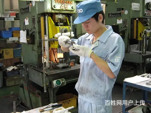 ，年薪45万 澳大利亚劳务派遣 工作签/保签 - 图片 9