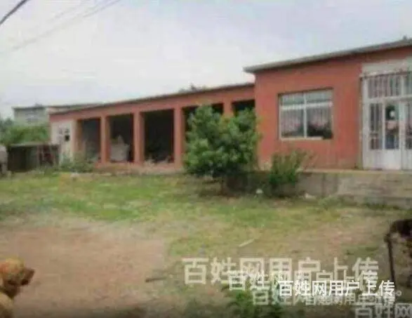 【搞定了！】尖山子道边310省道旁 大院儿低价出售（非中介） - 图片 1