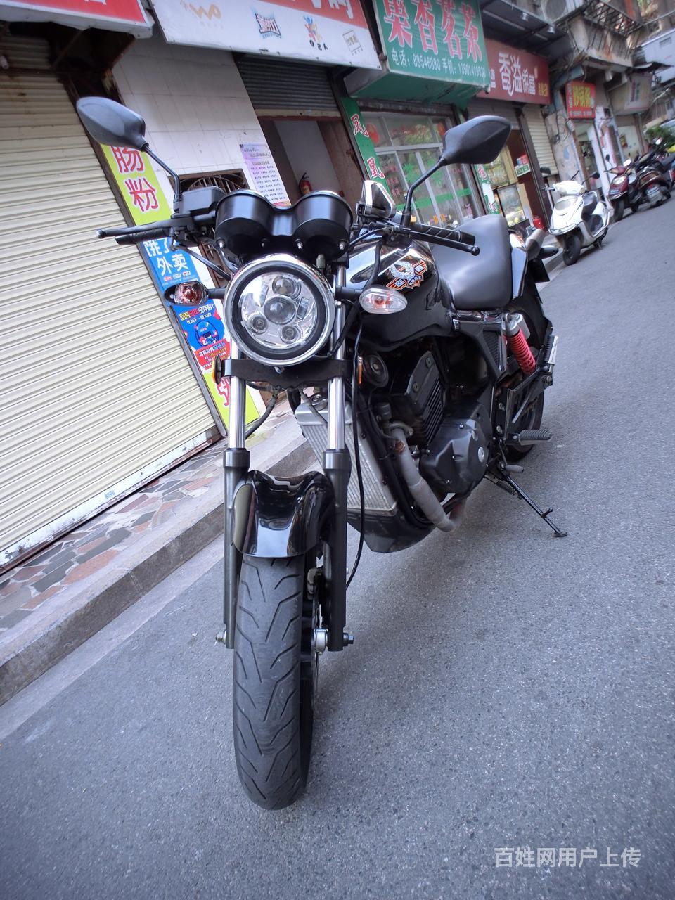 出售新到2017年10月大地鹰王西部风情dd250