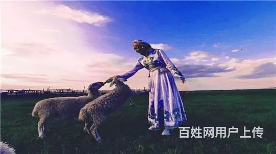 呼伦贝尔鄂温克族呼伦贝尔包车上哪个网站呼伦贝尔包车上什么网 - 图片 1