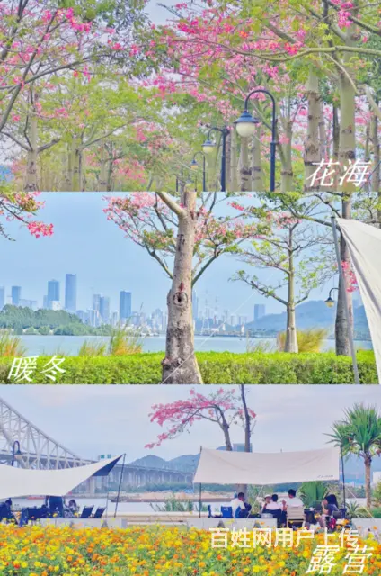 珠海澳门交友-单身青年人才召集令，横琴花海烧烤露营 - 图片 2