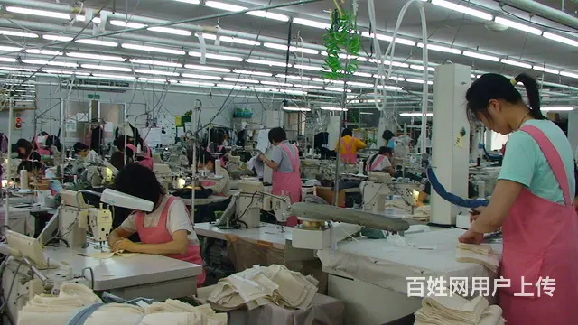出国年60万 - 图片 9