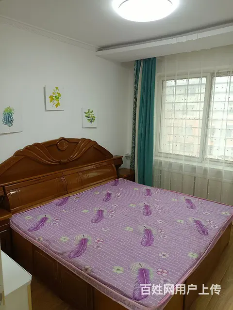 出租市府花园5楼 - 图片 1