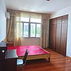 东门儒街对面家电齐全900／月