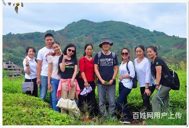 问天晟茶艺培训学校：中级茶艺师培训班多少钱 - 图片 7