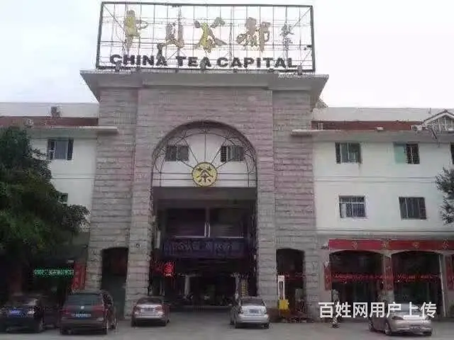 铁观音茶叶浓香型清香型礼盒装高山特级兰花香特级 - 图片 5