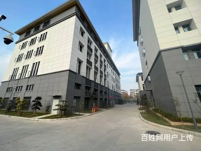 自有全新园区招租 单层独栋 多面积段 业态不限 欢迎咨询看房 - 图片 10