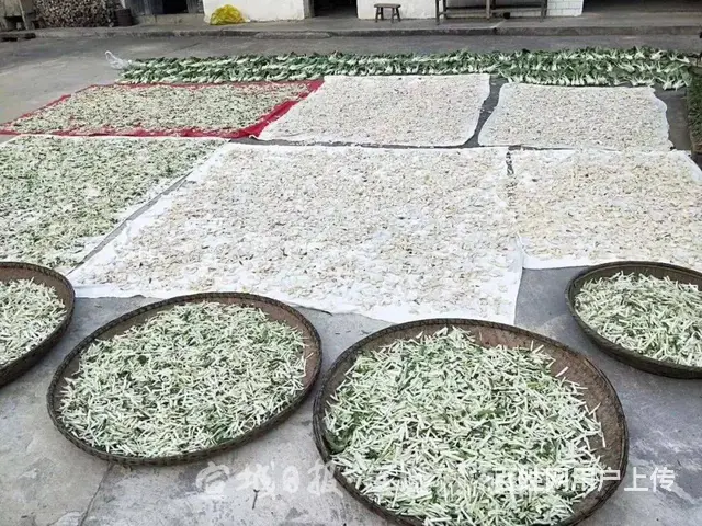 沅陵到长沙拼车黑车商务车电话 - 图片