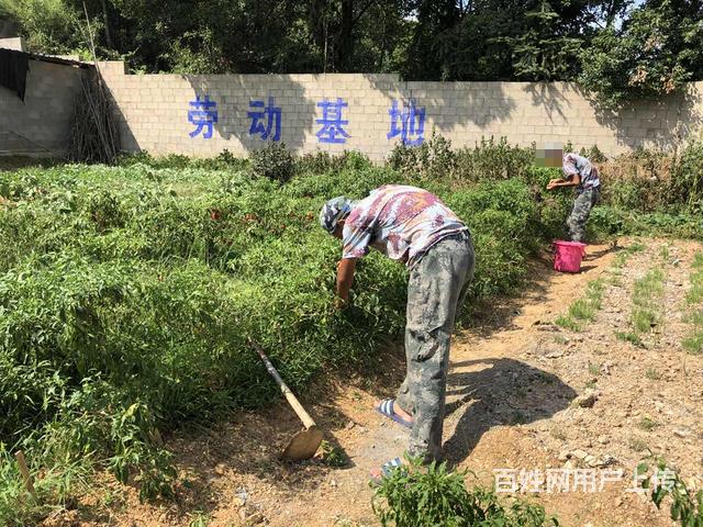 长沙志和学校，叛逆青少年封闭学校如何报名的图片