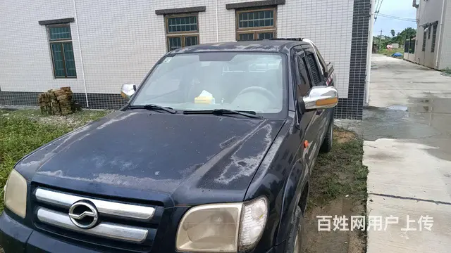 其他 皮卡 - 图片 1